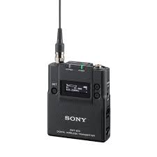 Sony DWT - B30 (pocket)